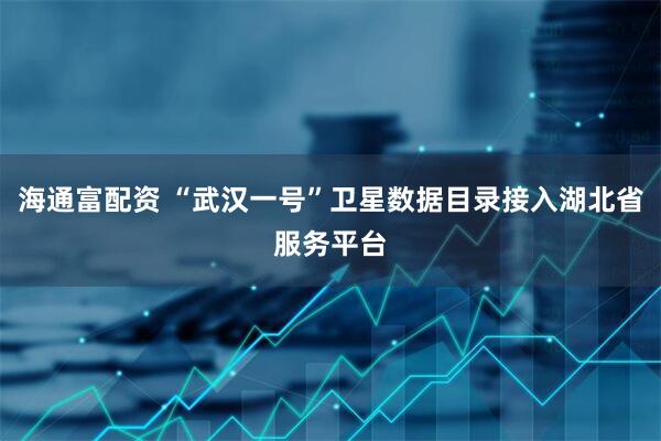 海通富配资 “武汉一号”卫星数据目录接入湖北省服务平台