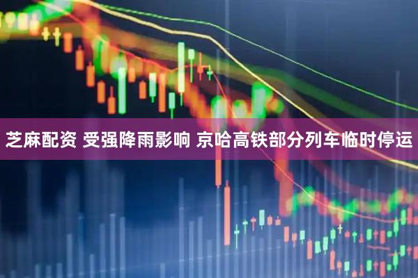 芝麻配资 受强降雨影响 京哈高铁部分列车临时停运