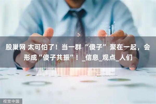 股巢网 太可怕了！当一群 “傻子” 聚在一起，会形成“傻子共振”！_信息_观点_人们